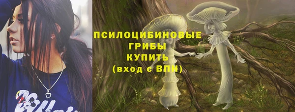 MDMA Горнозаводск