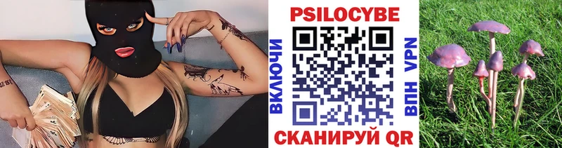 Купить где Орлов Галлюциногенные грибы MAGIC MUSHROOMS